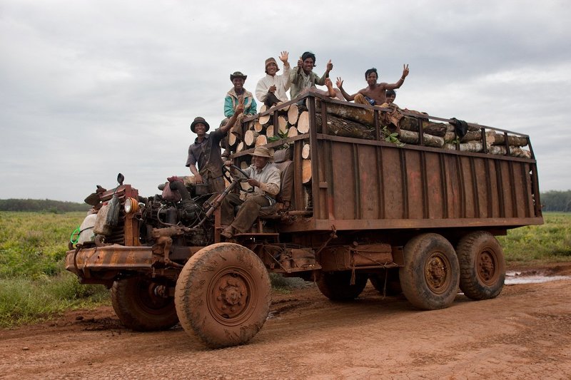 Жизнь прекрасна! фото превью