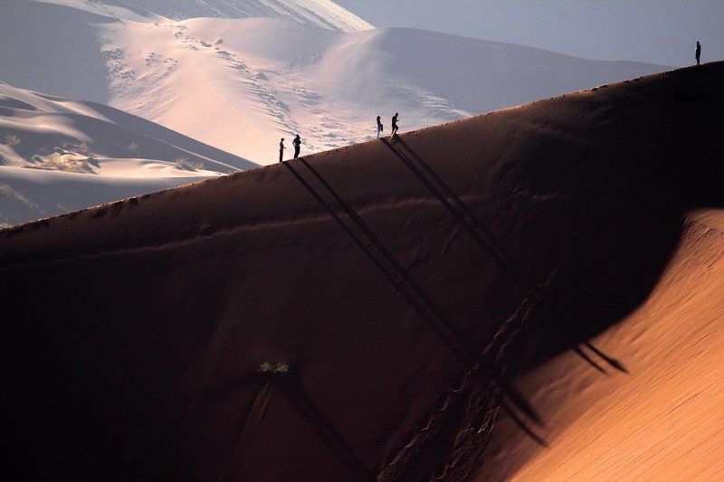 дихлофос руллз! (в условиях запрета на ношения огнестрельного оружия) фото превью