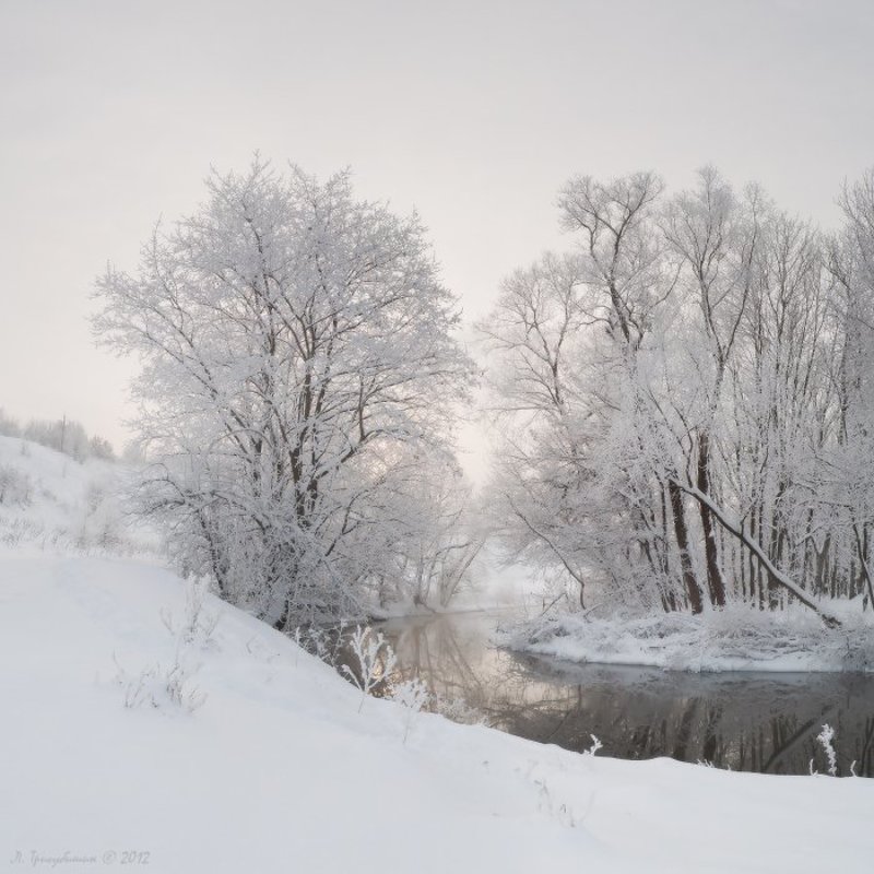 Лозовий Викрут. Антологія. фото превью