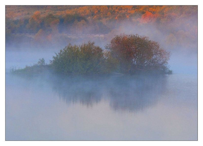 Два Йожика на утреннем променаде.... фото превью