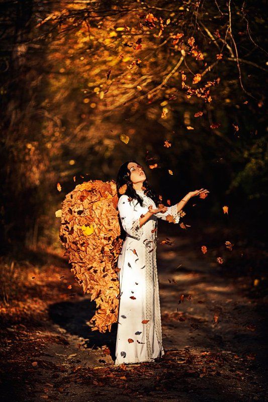 Angel фото превью