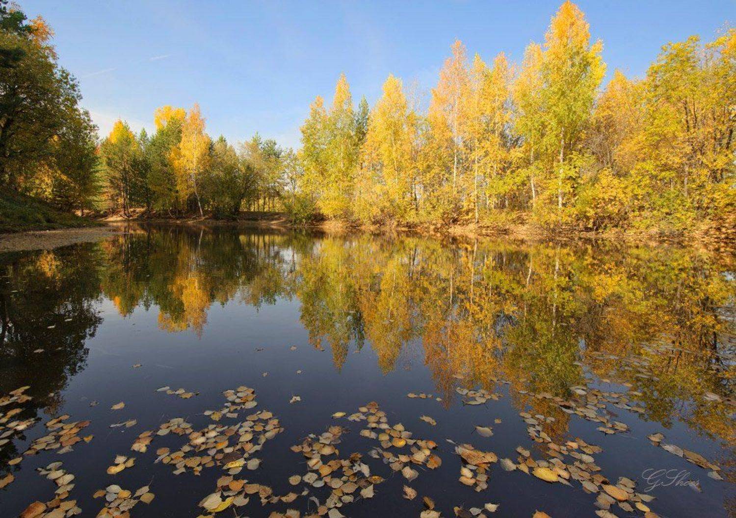, Георгий Сапожников