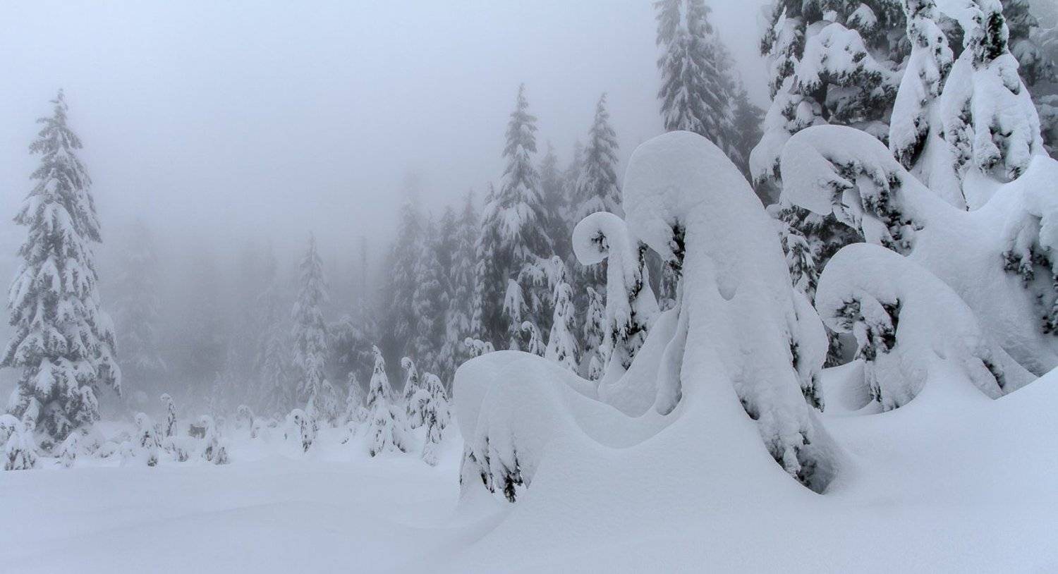 , ГеннадийАлексеич