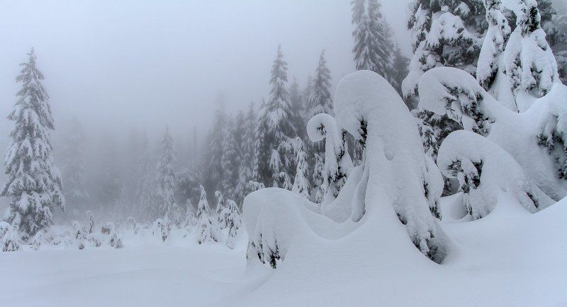 Aliens фото превью