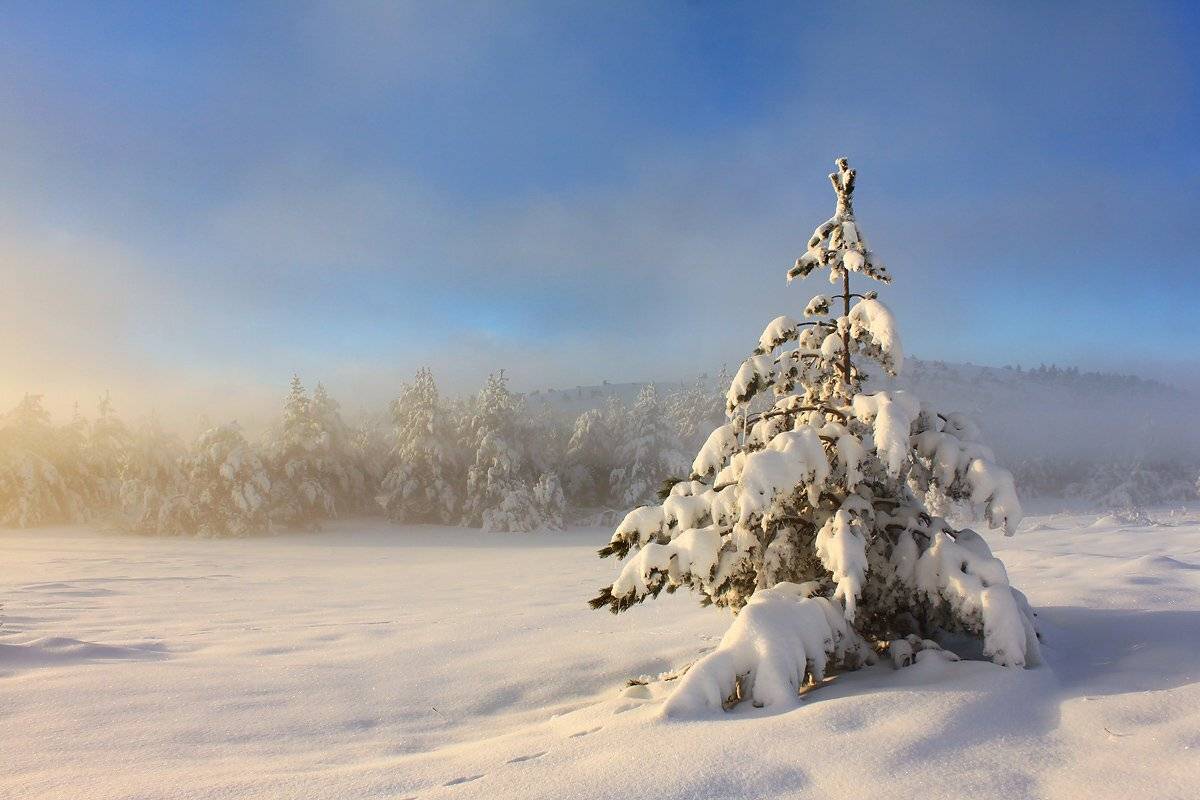 мороз, холод, крым, ай-петри, зима, снег, туман, Антон Петрусь