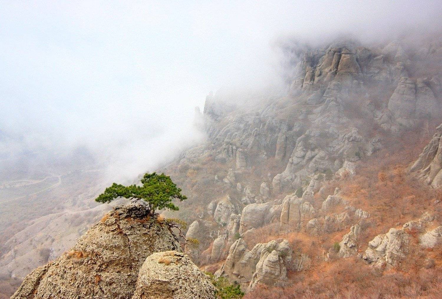 , Александр Андреев