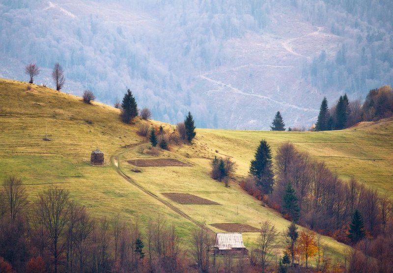 карпаты, осень, утро, свет, домик ...Одинокий... фото превью