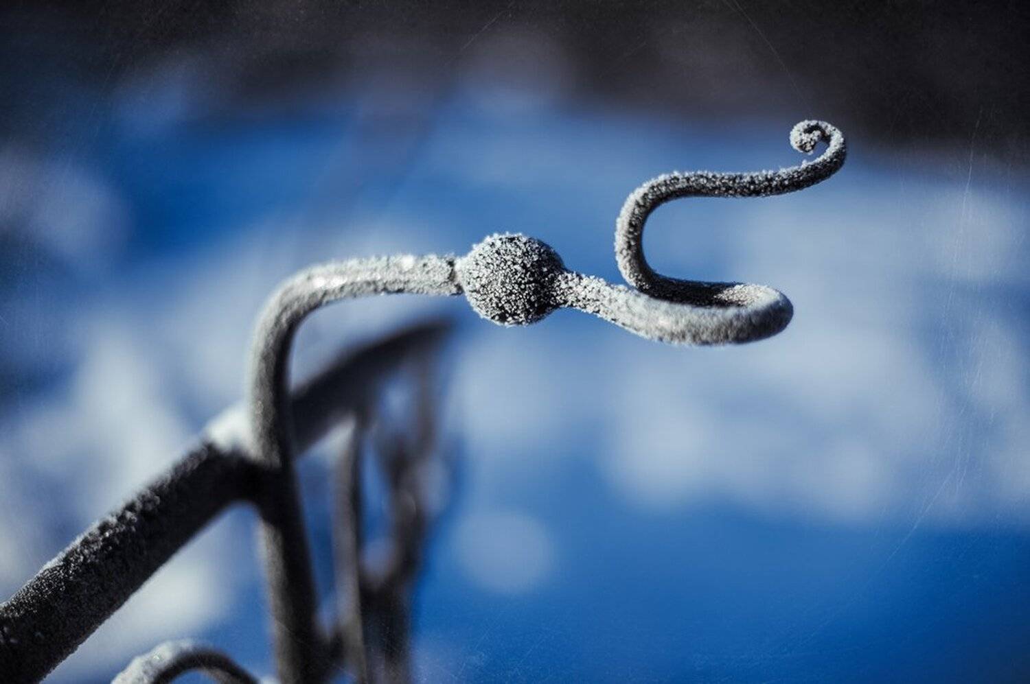 , Валерий Коновалов