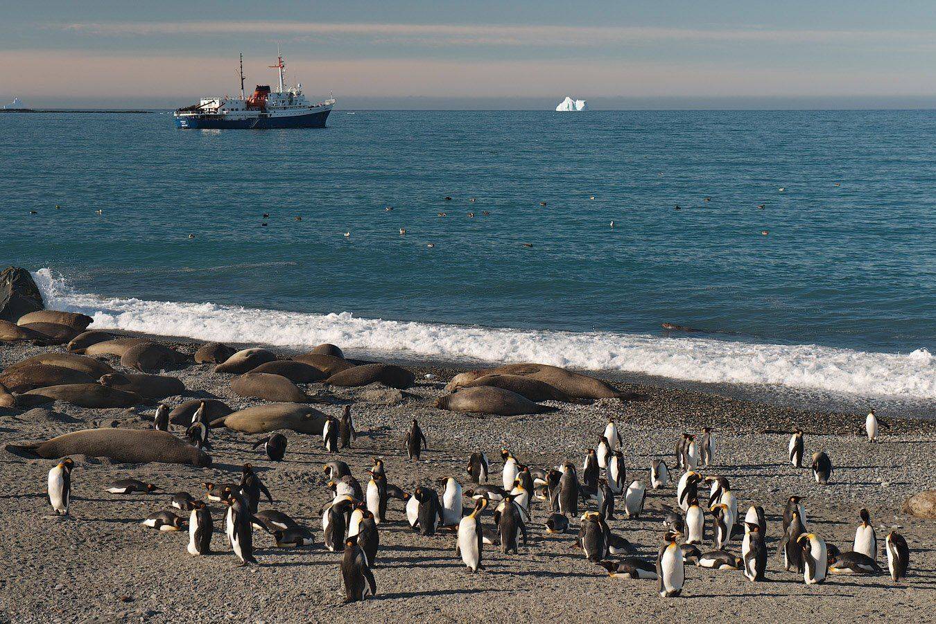 south, georgia, Андрей Ведерников