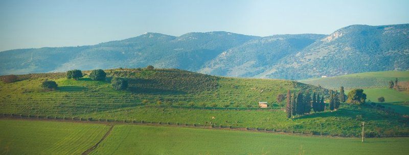 Израильская    Тоскана. фото превью