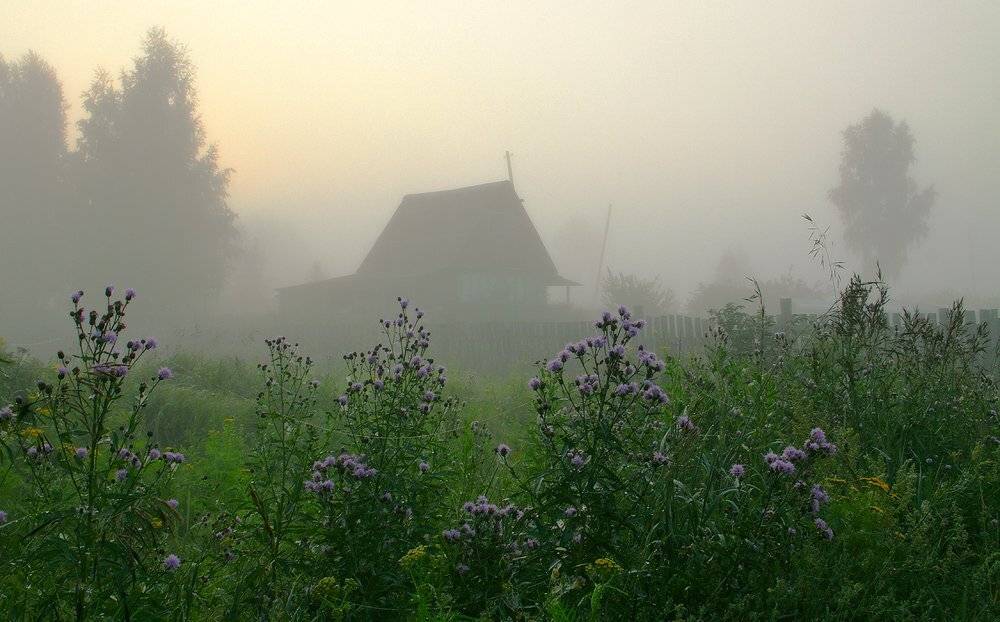 , Николай Морский