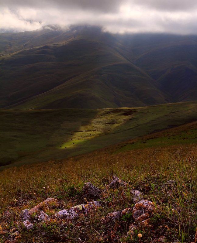 *** фото превью