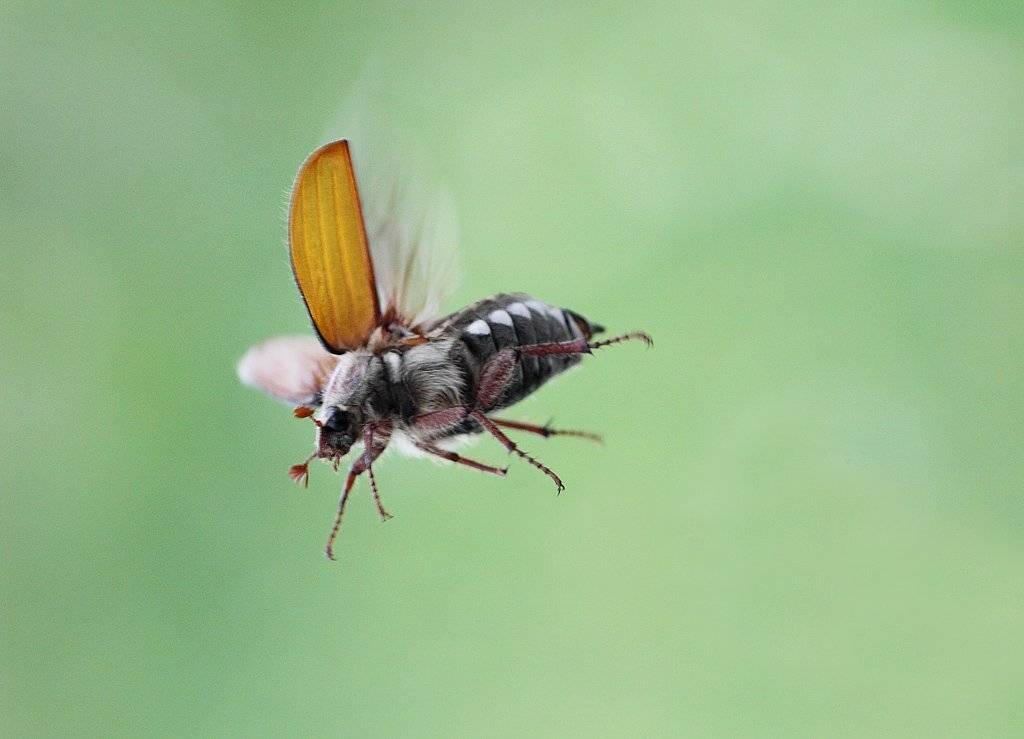 , Сергей Таланов