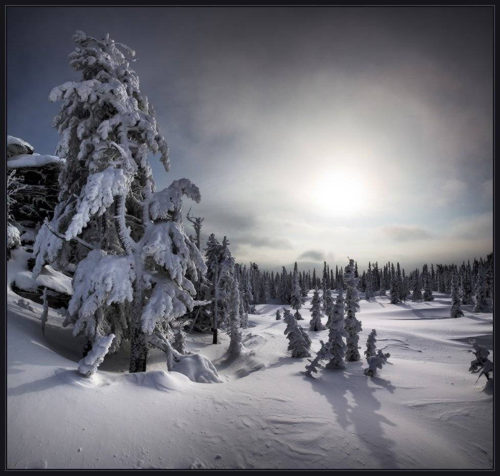 шория, шерегеш, горы, зима, елки, снег, ярославский, виталий, Виталий из Н-ска