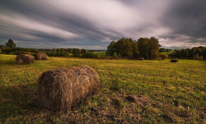 осень, сенокос, трава Вспоминая сенокос... фото превью