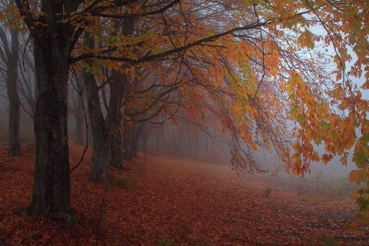 , Михаил  Пилипенко