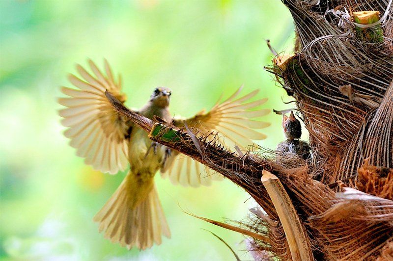 ...... фото превью