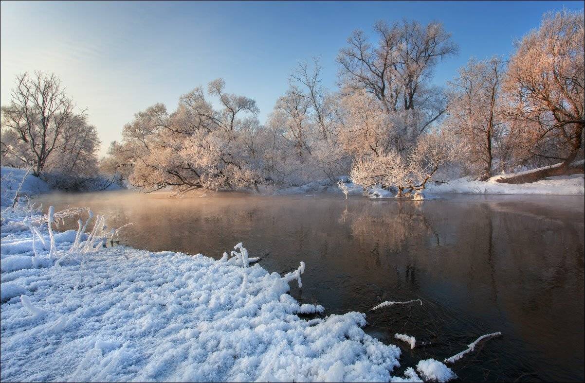 , Андрей Уляшев (Mercand)