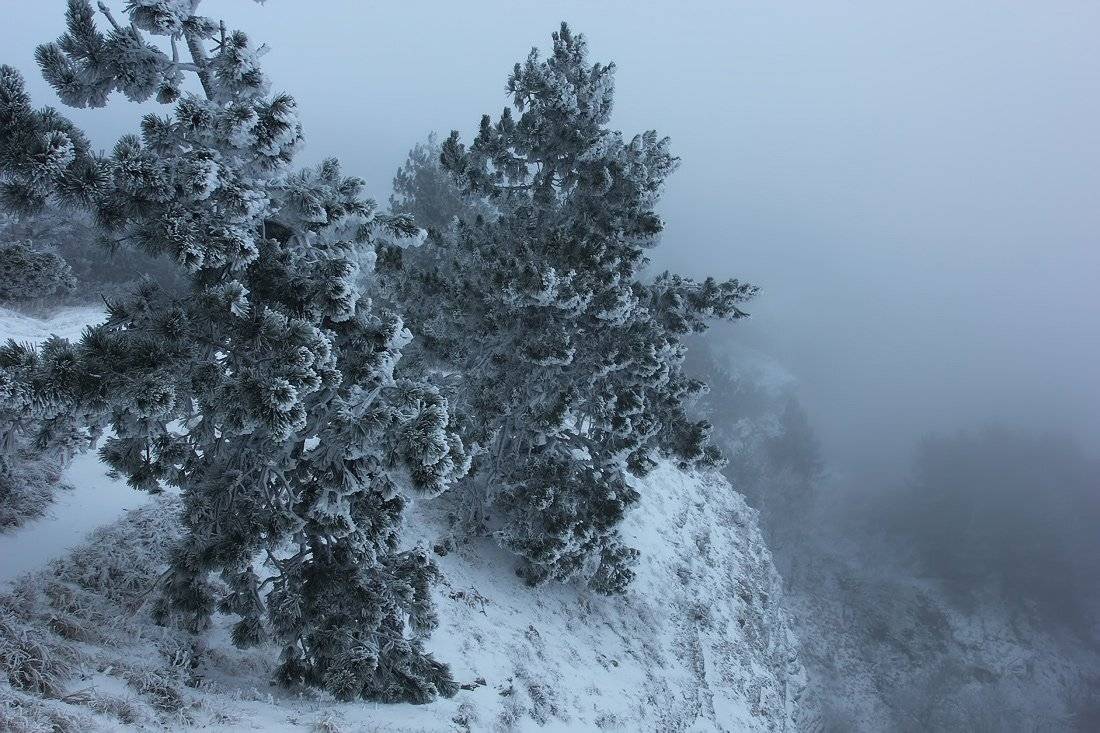 , Ситкин Игорь