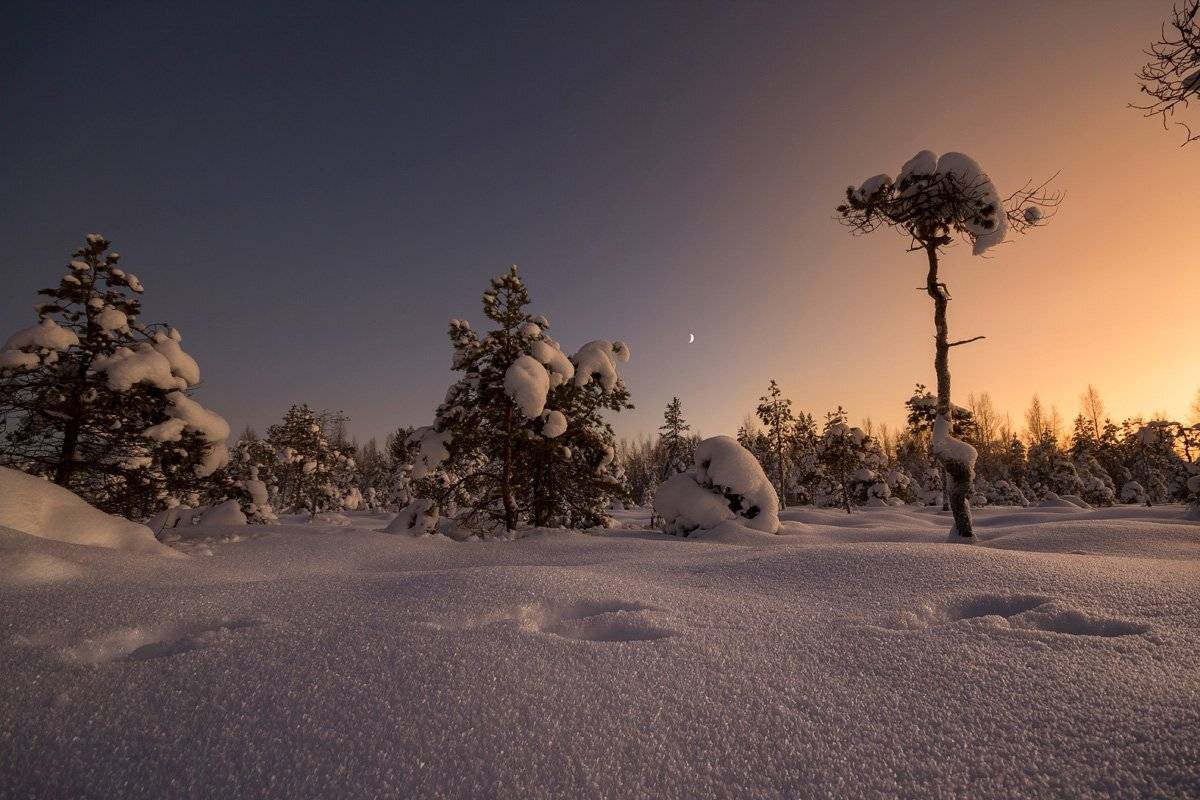 , Илья Бармин