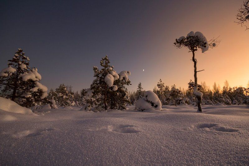 Зима на севере фото превью