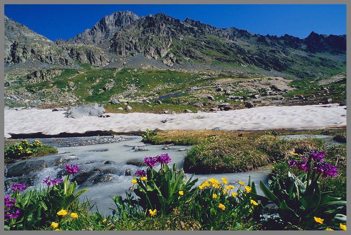 алтай, катунский хр. верховья р. осиновки, АНАТОЛИЙ ДОВЫДЕНКО