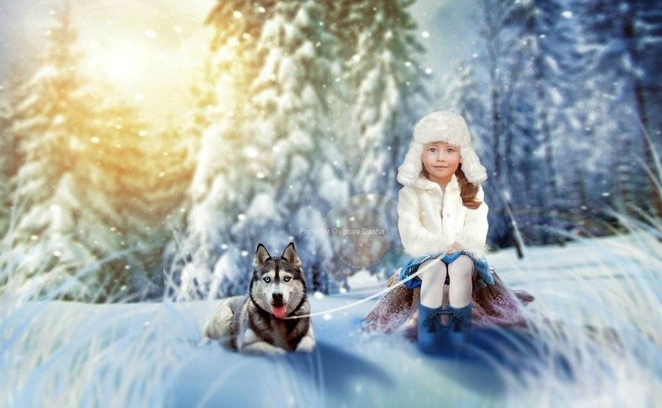 , Осипова Дарья