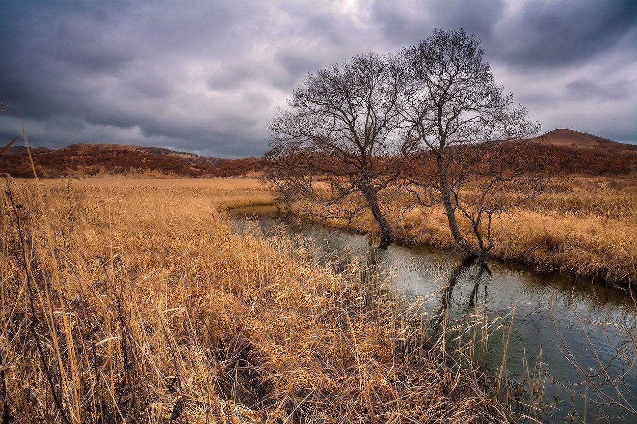 , Андрей Кровлин