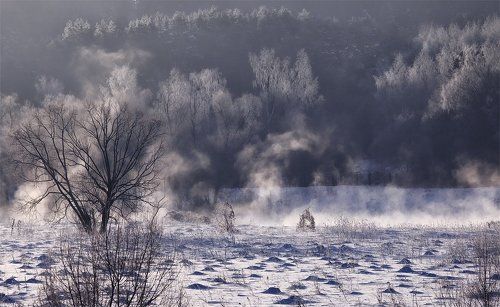 утренний свет