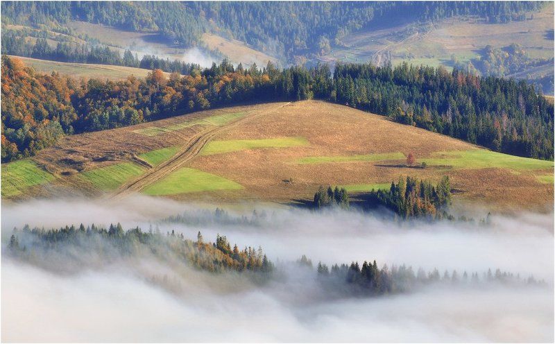 Вспоминая осень... фото превью