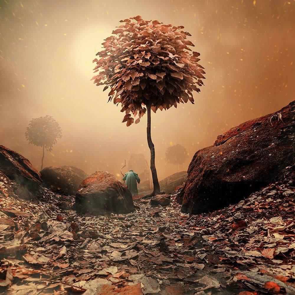 , Caras Ionut