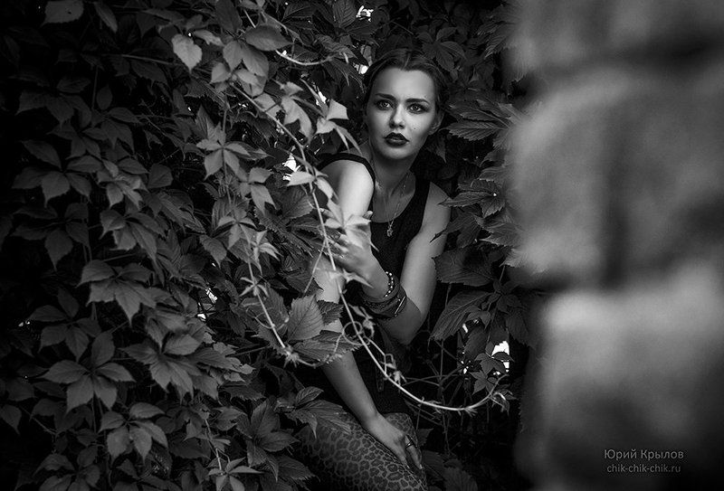 фото превью