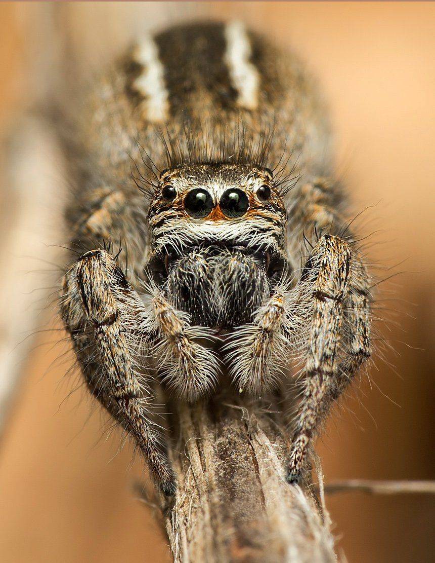 , Вадим Ходаковский