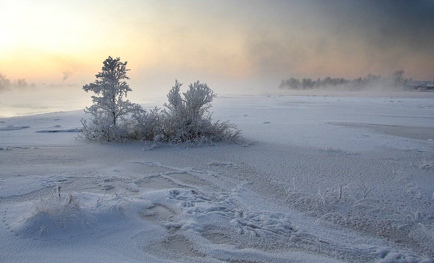 , Александр Коротков