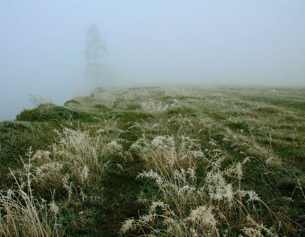 , Николай Морский