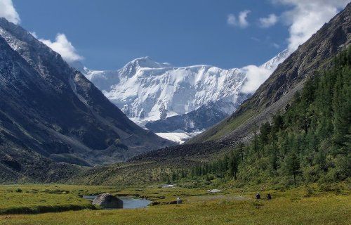 Любуясь Белухой