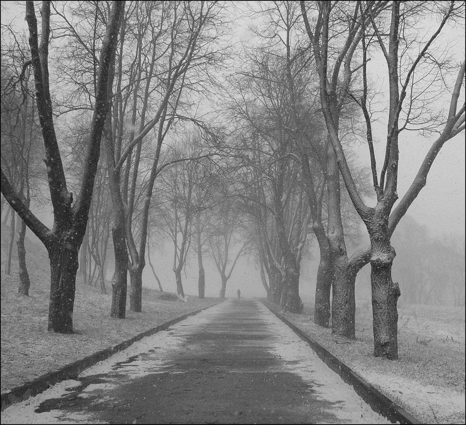 , Олег Потехин