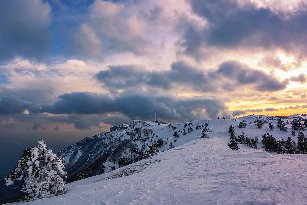 , Игорь Мелекесцев