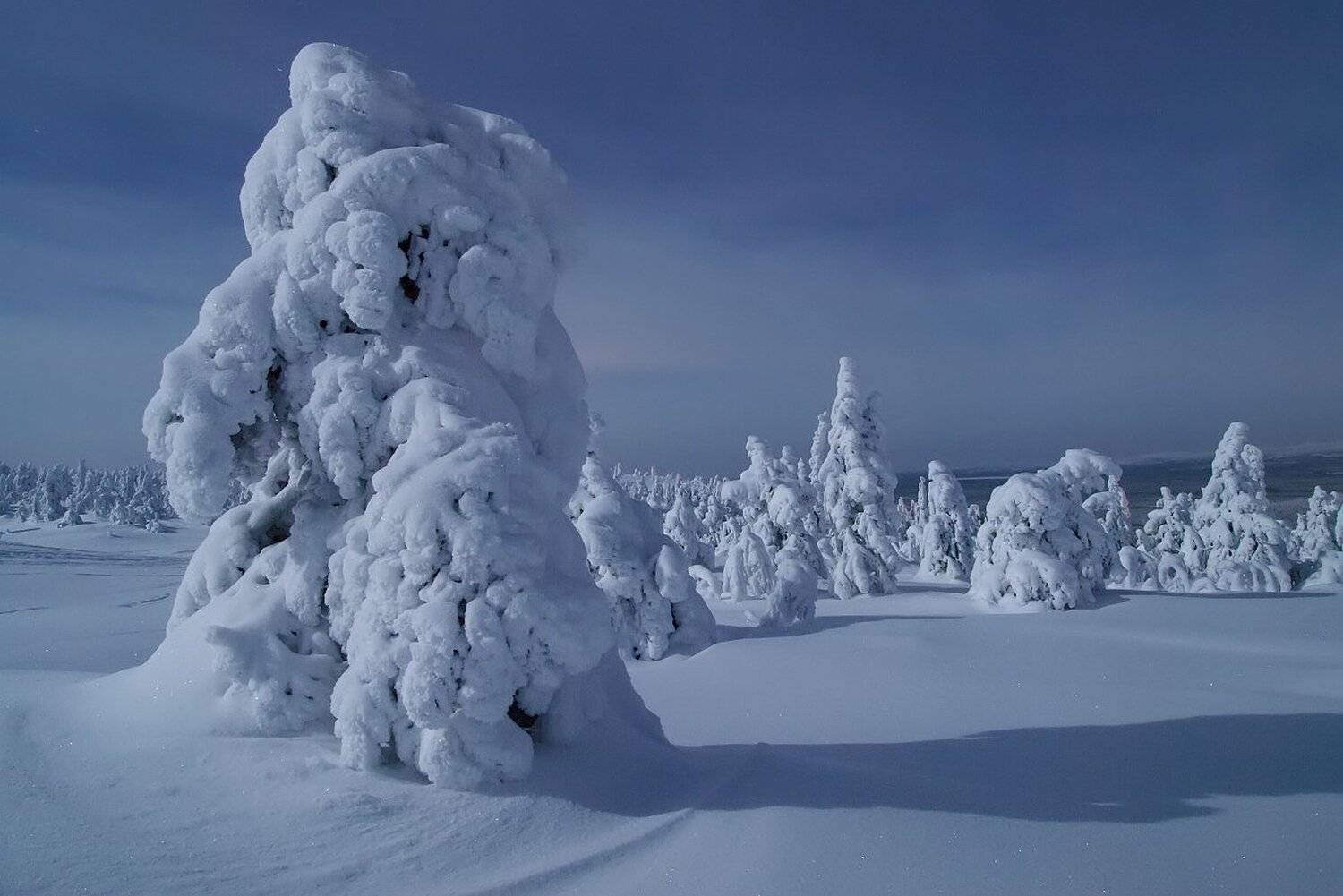 , Максим Евдокимов