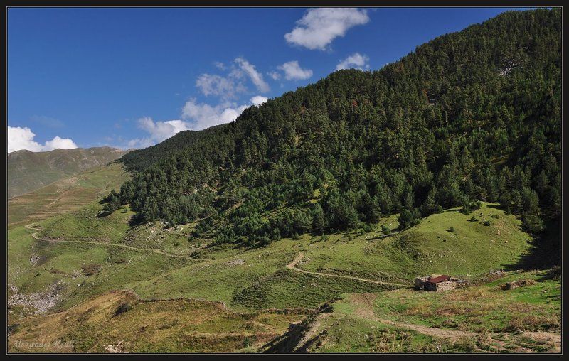дагестан, горы Дагестанская пастораль... фото превью