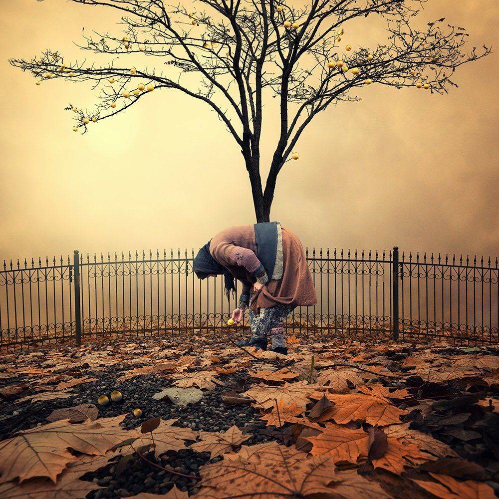 , Caras Ionut
