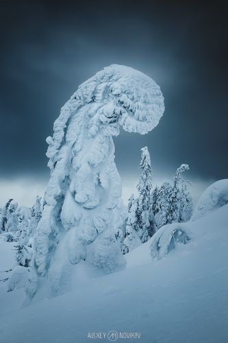 Сумрачный день