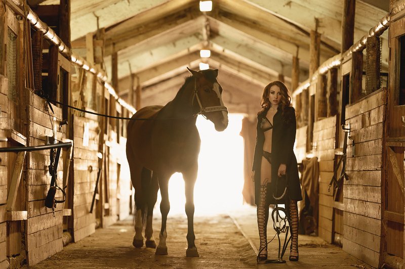 In the stable фото превью