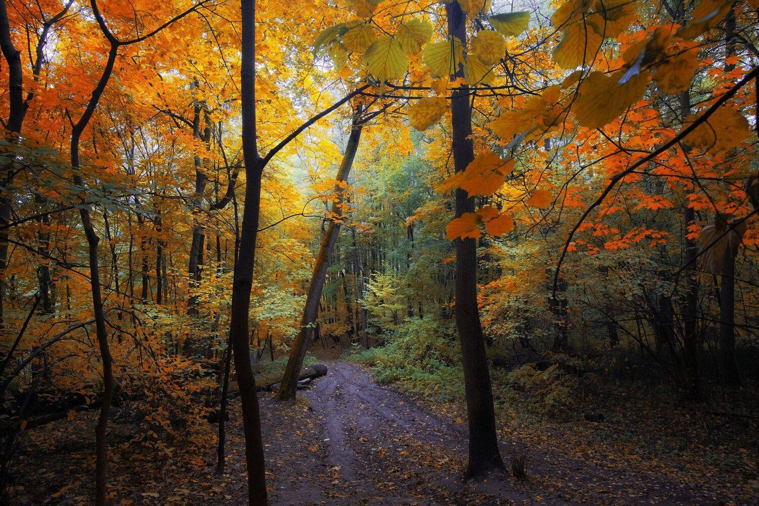 , Екатерина