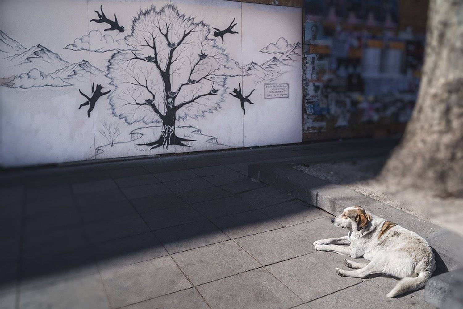 , Анатолий Гузенко