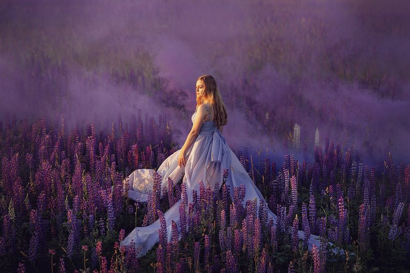 природа, удмуртия, люпины, люпинове поле, природа россии Удмуртский прованс фото превью