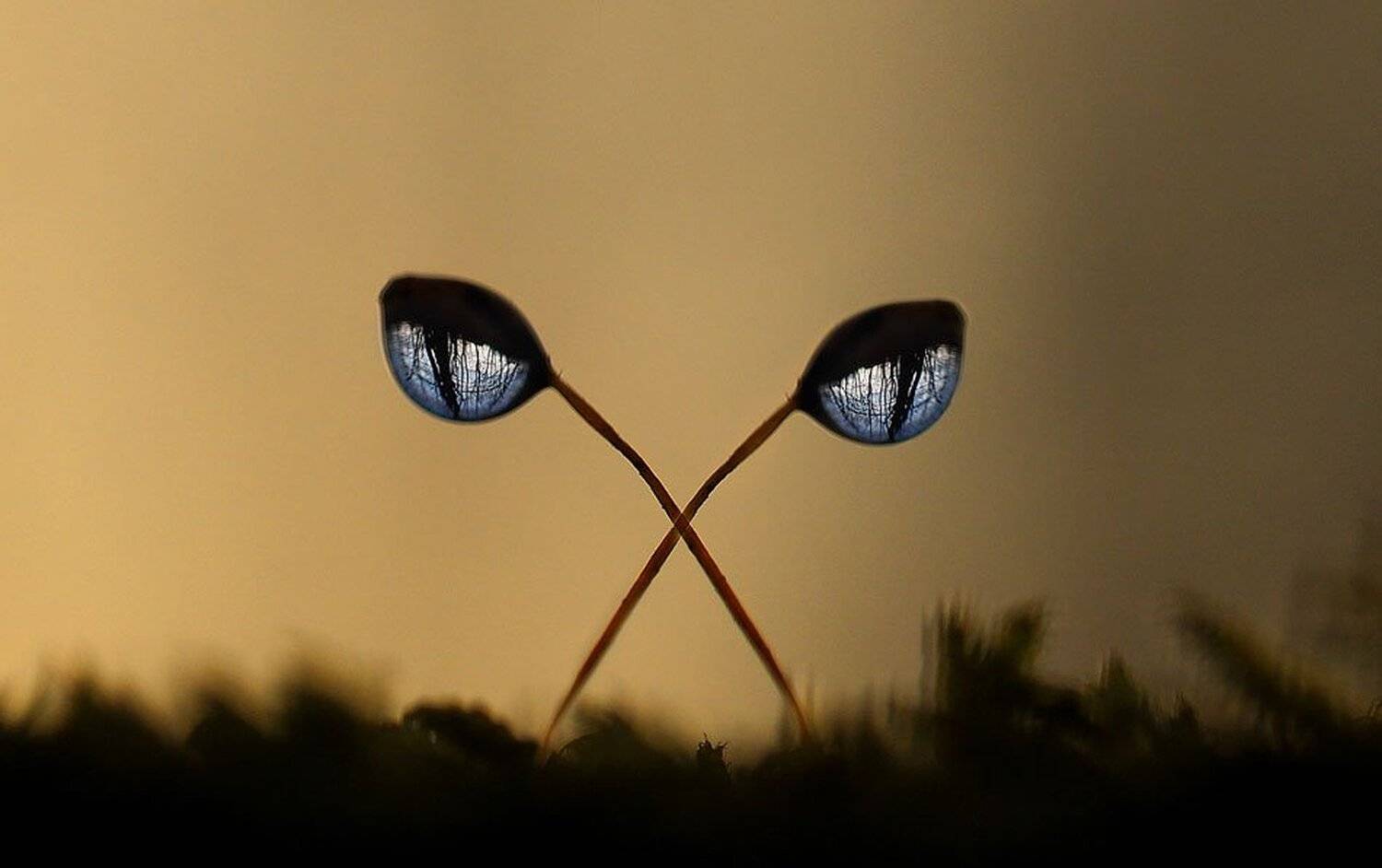 , Евгений Лукашук