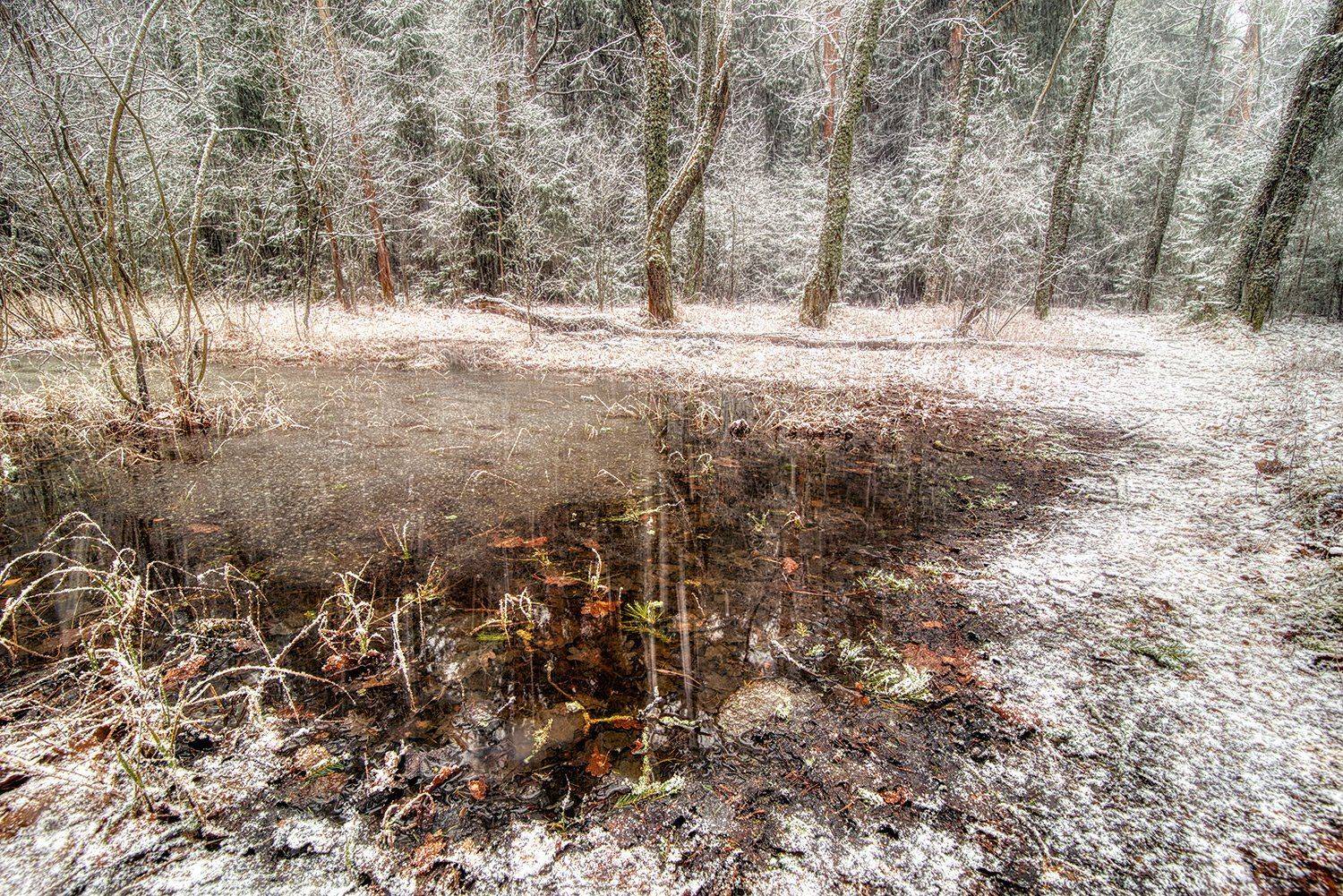 , Федотов Антон