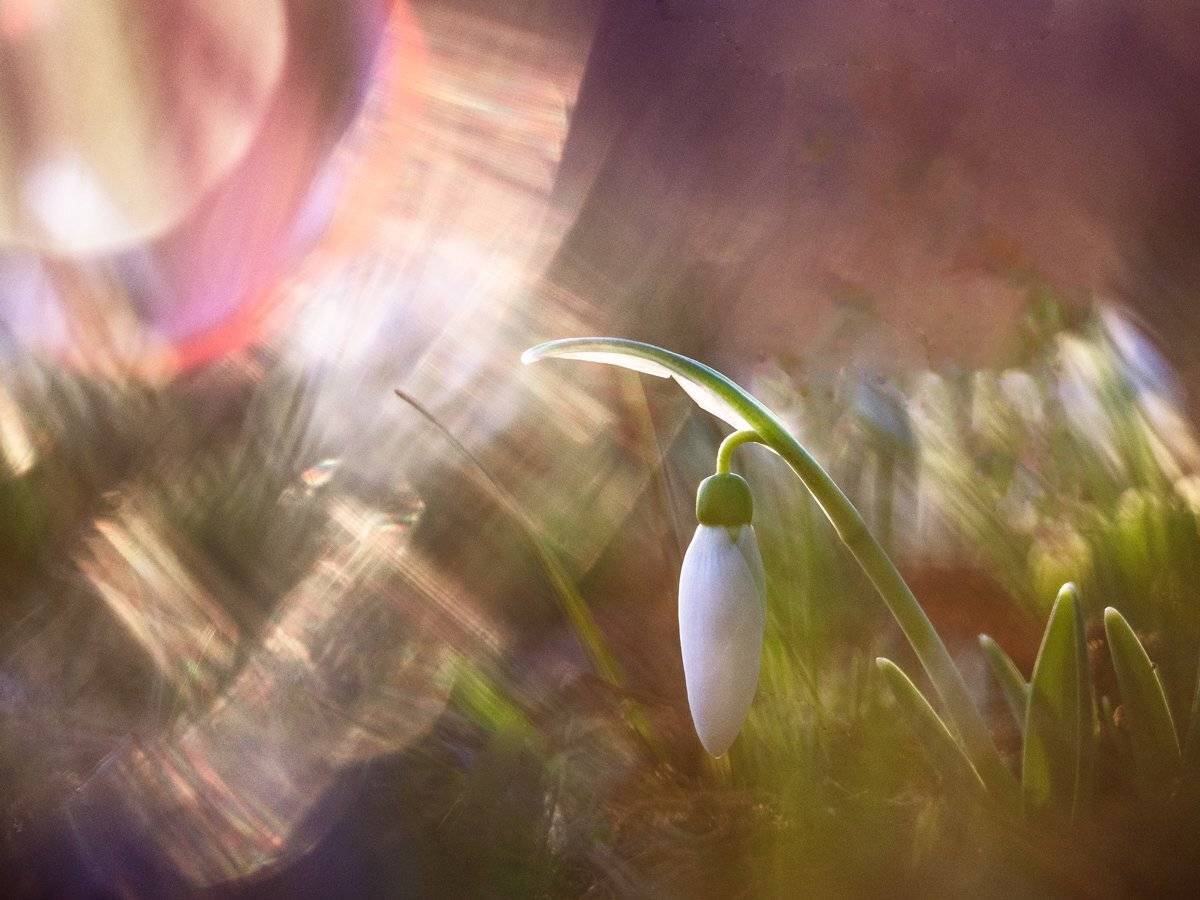 , Татьяна Аверина