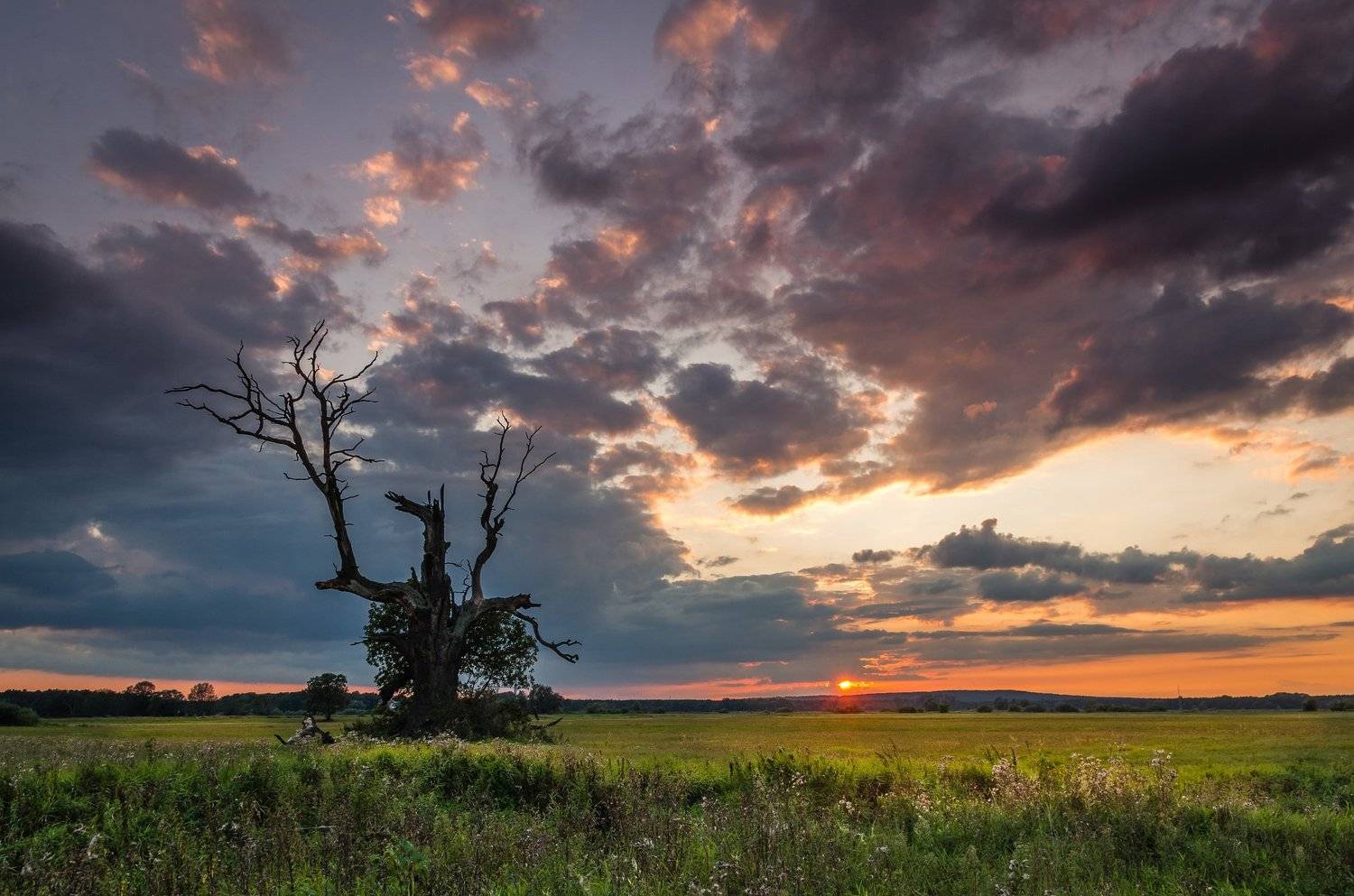, Maciej Werbliński